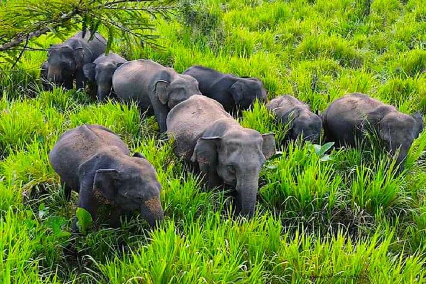 WASGAMUWA NATIONAL PARK
